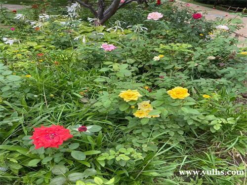 西安夜场招聘-西安哪些夜场招聘诚信直招